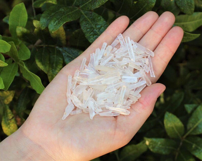 May include: A hand holding a pile of small, clear quartz crystals. The crystals are all pointed and have a natural, raw look.