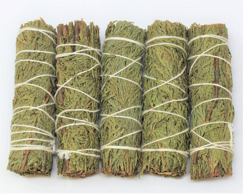 Cedar Smudge 4" Sticks - 3 Piece Lot (Fresh Bundles For Incense & Craft Uses) afbeelding 8