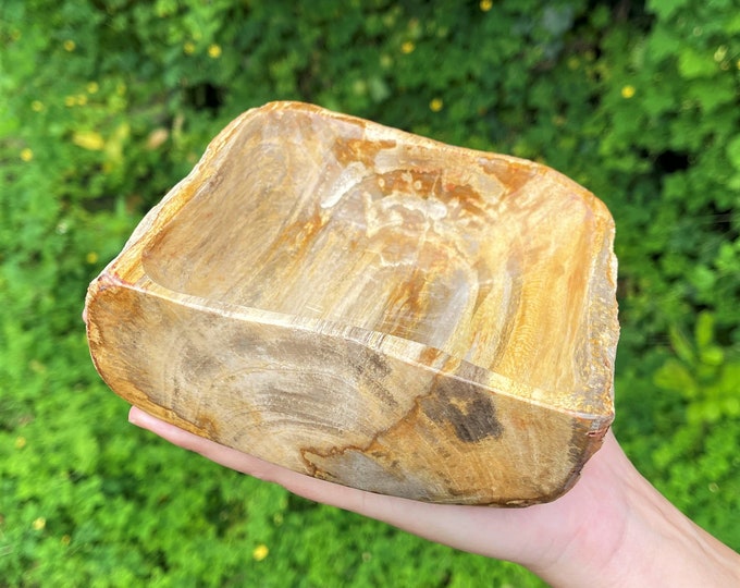 Petrified Wood Bowl - EXACT SPECIMEN Shown (Petrified Wood Decorative Crystal Bowl, From Indonesia, Home Decor, WB16)