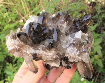 Jumbo Smoky Quartz Crystal Cluster Gemstone Specimen (1 lb - 1.8 lb)