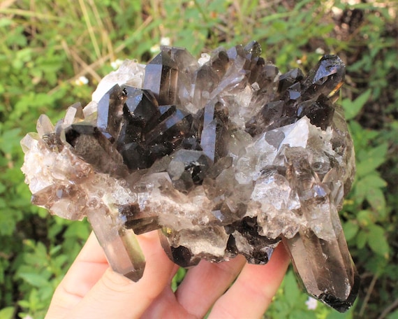 JUMBO Smoky Quartz Crystal Cluster Gemstone Specimen, 1 - 1.5 lb ('A' Grade Premium Quality, Natural Smoky Quartz Cluster, Raw Smoky Quartz)