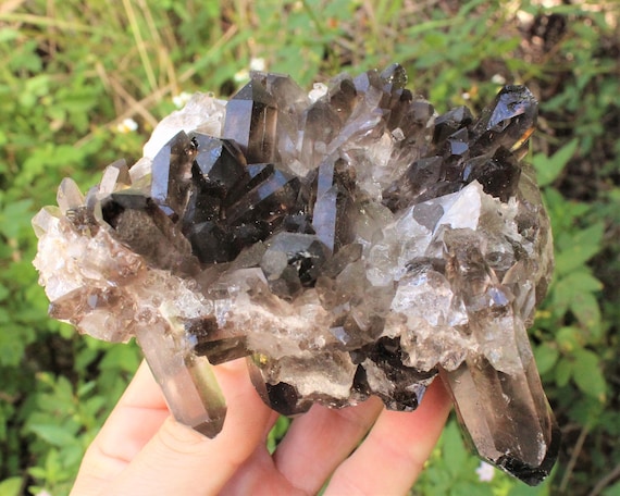 JUMBO Smoky Quartz Crystal Cluster Gemstone Specimen, 1 lb - 1.5 lb ('A' Grade Premium Quality, Smoky Quartz Cluster, Smoky Quartz Geode)