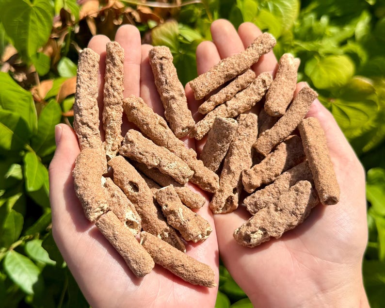 RARE Fulgurite Crystals, Natural Lightning Formed Fulgurite Specimens