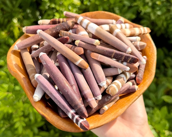 Natural Sea Urchin Spines 2-4" - Wholesale Bulk Lots - Ocean Crafts, Coastal & Beach Decor