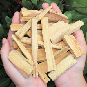 May include: A close-up of a hand holding a pile of light brown palo santo sticks. The sticks are various lengths and widths, and they have a natural, rough texture.