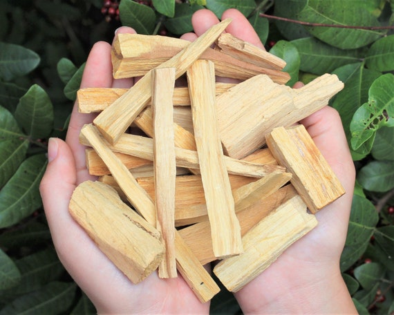 Palo Santo Wood Chips, Bits & Pieces: Choose oz or lb Bulk WHOLESALE CLEARANCE Lots