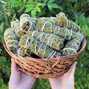 Juniper Sage Smudge 4&quot; Sticks - Choose How Many, Wholesale Bulk Lots (Fresh Premium Quality Sage Bundles - Purifying, Cleansing & Blessing)
