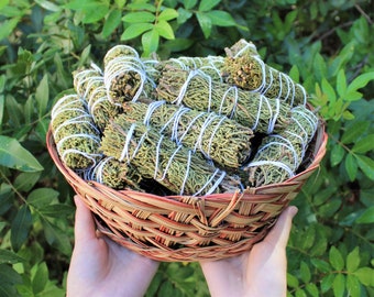 Juniper Sage Smudge 4" Sticks - Choose How Many, Wholesale Bulk Lots (Fresh Premium Quality Sage Bundles - Purifying, Cleansing & Blessing)