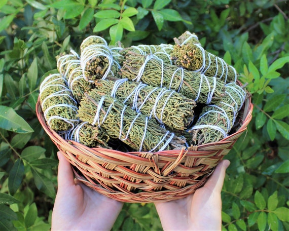 Juniper Smudge Wholesale Bulk Bundles: Choose 1, 2, 3, 5, 10, 20, or 50 Sticks (Sage Bundle, Smudge Stick)