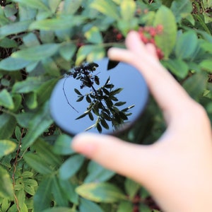 May include: A hand holds a round, black, glass filter in front of a green leafy bush. The filter reflects the sky and the bush.
