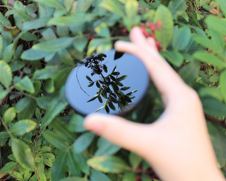 May include: A hand holds a round, black, glass filter in front of a green leafy bush. The filter reflects the sky and the bush.