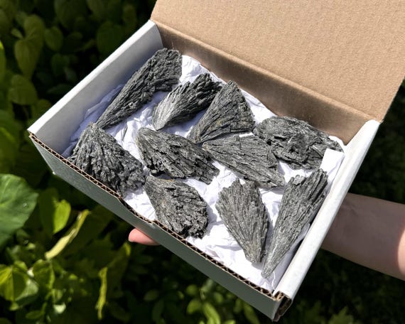 Natural Black Kyanite Blades Box: 8 - 12 Piece Lot (Premium Grade Black Kyanite Crystals From Brazil, Raw Kyanite Fans)