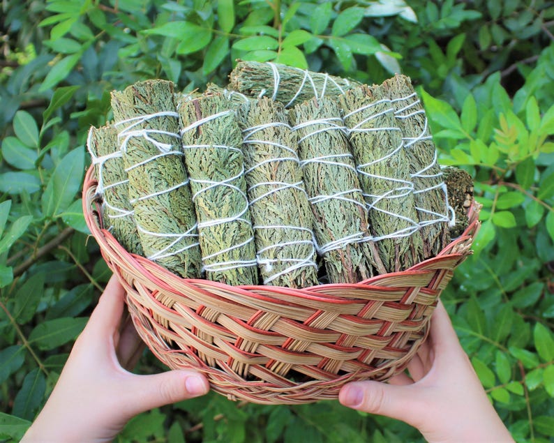Cedar Smudge 4" Sticks - 3 Piece Lot (Fresh Bundles For Incense & Craft Uses) afbeelding 6