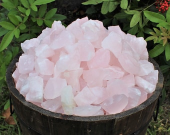 May include: A wooden barrel overflowing with raw, light pink rose quartz crystals. The crystals are irregularly shaped and vary in size, filling the container. The barrel is made of dark wood and has metal bands. Green foliage is visible in the background.
