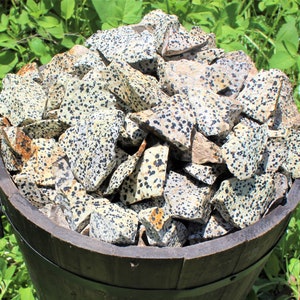 Dalmatian Jasper Rough Natural Stones: Choose 4 oz, 8 oz, 1 lb, 2 lb, 5 lb Wholesale Bulk Lots