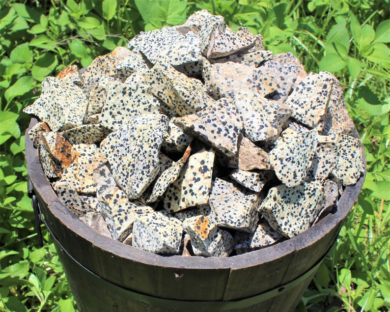 Dalmatian Jasper Rough Natural Stones: Choose 4 oz, 8 oz, 1 lb, 2 lb, 5 lb Wholesale Bulk Lots