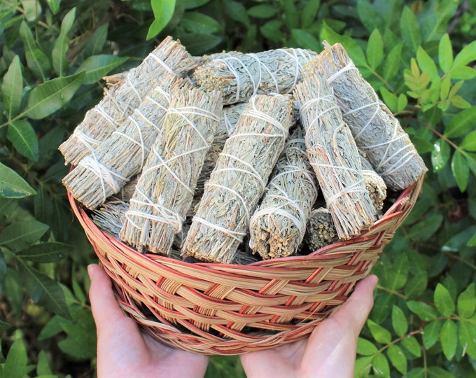 Prosperity Sage Smudge Stick 4" (Mountain Sage & Pinon Pine Blend): Choose 1, 2, 3, 5, 10, 20, or 50 Wholesale Bulk Sticks (Sage Bundle)