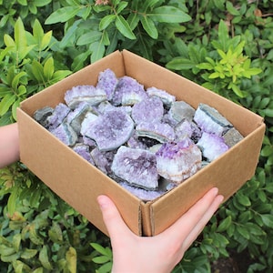 Wholesale Amethyst Cluster Box: CLEARANCE Grade Box Lots Full of CRAZY CHEAP Natural Amethyst Crystals (Amethyst Cluster, Amethyst Druze)