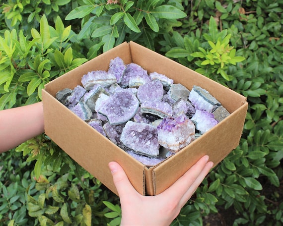 Wholesale Amethyst Cluster Box: CLEARANCE Grade Box Lots Full of CRAZY CHEAP Natural Amethyst Crystals (Amethyst Cluster, Amethyst Druze)