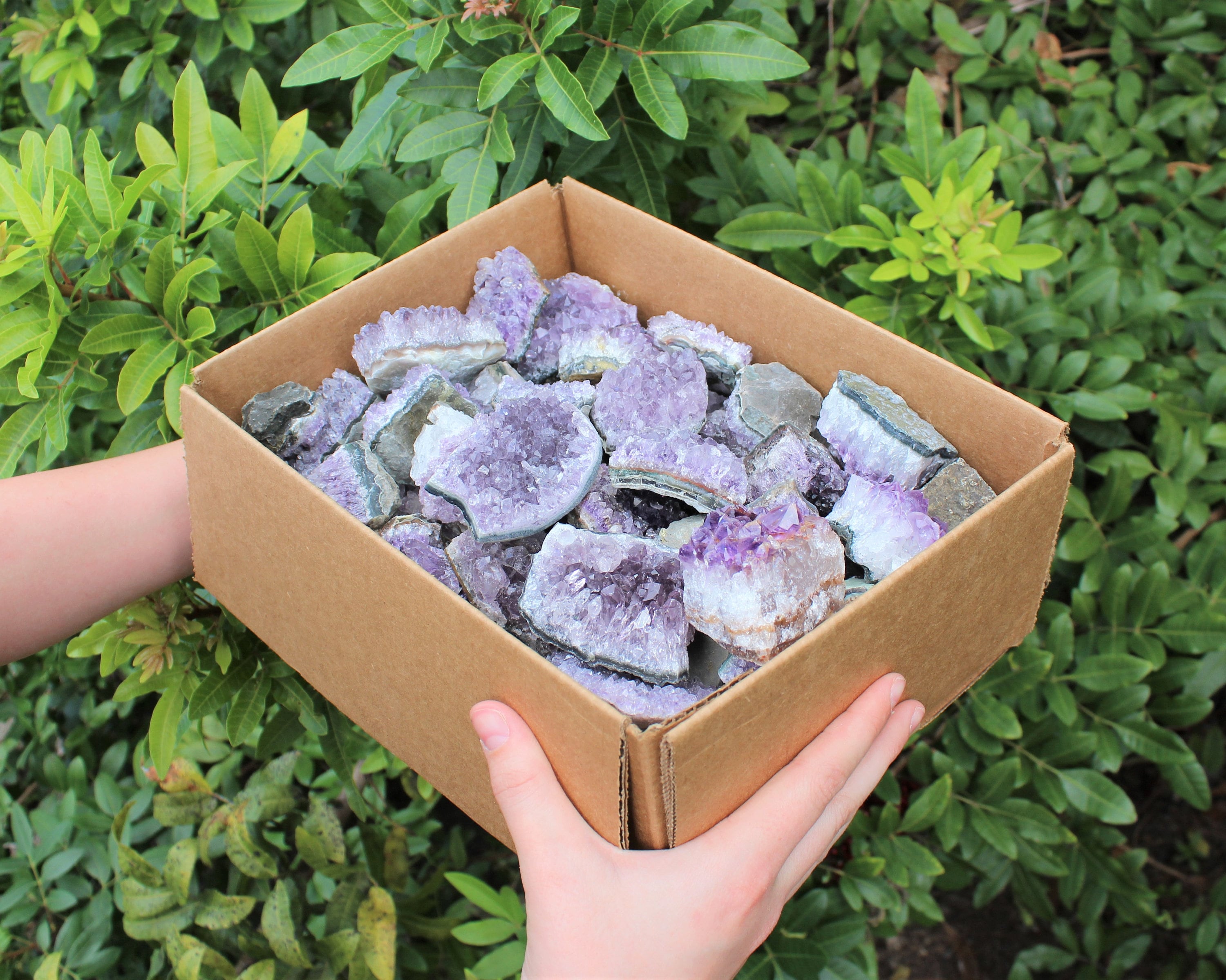 Wholesale Amethyst Cluster Box CLEARANCE Grade Box Lots Full of CRAZY CHEAP Natural Amethyst Crystals Amethyst Cluster Amethyst Druze
