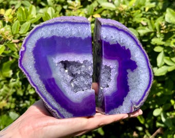 May include: Two amethyst geode bookends. Each bookend is a half-circle shape with a deep purple center, surrounded by bands of white and lighter purple. The interior features a sparkling crystal cavity. The bookends are displayed against a backdrop of green foliage.
