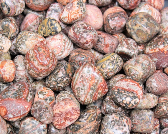 Leopard Skin Jasper Tumbled Stones: Choose Ounces or lb Bulk Wholesale Lots (Premium Quality 'A' Grade)
