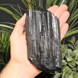 HUGE Black Tourmaline Log Extra Grade Specimen, 1 - 1.5 lb (Natural Tourmaline Protection Crystal)