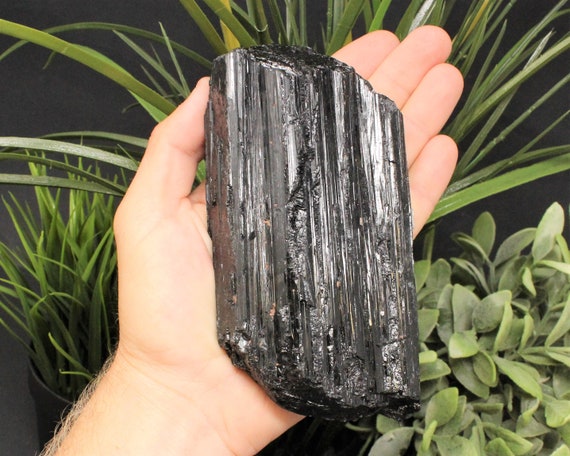 HUGE Black Tourmaline Log Premium Extra Grade Specimens 1 - 2 lb ('A' Grade, Protection Crystal, Black Tourmaline Crystal, Home Decor)