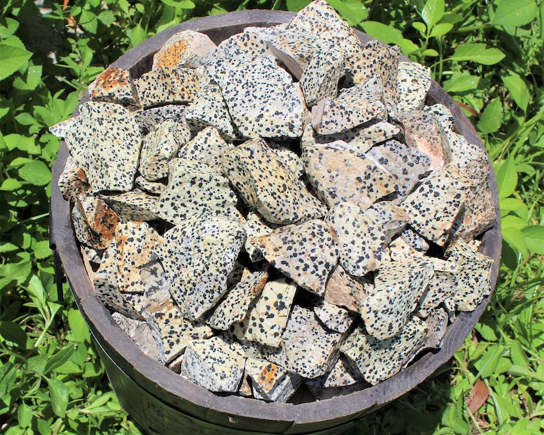 Dalmation Jasper Rough Natural Stones: Choose Ounces or lb Bulk Wholesale Lots Premium Quality 'A' Grade image 3