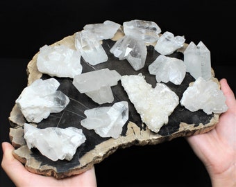 Grade A++ Clear Quartz Crystal Cluster, Choose Size: 1"- 2" & 2"- 3" (Clear Quartz Geode, Quartz Cluster, Crystal Geode)