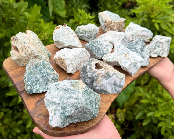 LARGE Rough Tree Agate Natural Stones - Choose Size - 'A' Grade Raw Agate Crystals