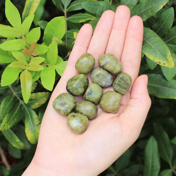 Vesuvianite Tumbled Stones: Choose How Many Pieces (Premium Quality 'A' Grade)