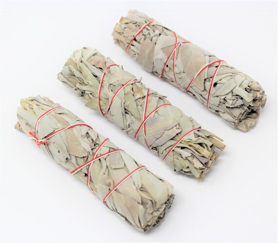 White Sage Smudge Bundles - 3 Pack Bulk Lot + Directions (4" White Sage Sticks, Smudge Stick)