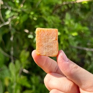 Peut inclure: Un petit aliment carr&eacute; brun clair est tenu entre un doigt et un pouce. L'aliment a une surface l&eacute;g&egrave;rement textur&eacute;e et semble &ecirc;tre une collation ou une friandise. L'arri&egrave;re-plan est un feuillage vert flou.