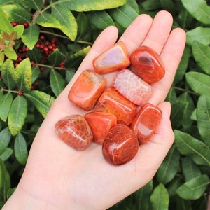 Fire Agate Tumbled Stones: Choose How Many Pieces (Premium Quality &#39;A&#39; Grade Fire Agate Crystals)