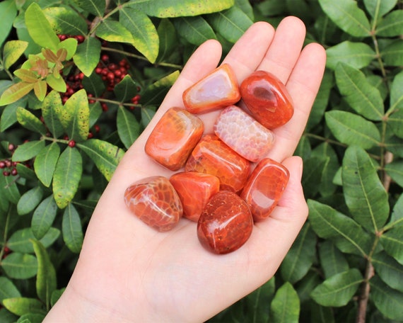 Fire Agate Tumbled Stones: Choose How Many Pieces (Premium Quality 'A' Grade Fire Agate Crystals)