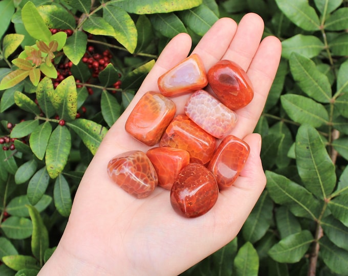 Fire Agate Tumbled Stones: Choose How Many Pieces (Premium Quality 'A' Grade)
