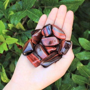 Red Tiger Eye Tumbled Stones: Choose How Many Pieces (Premium Quality 'A' Grade)