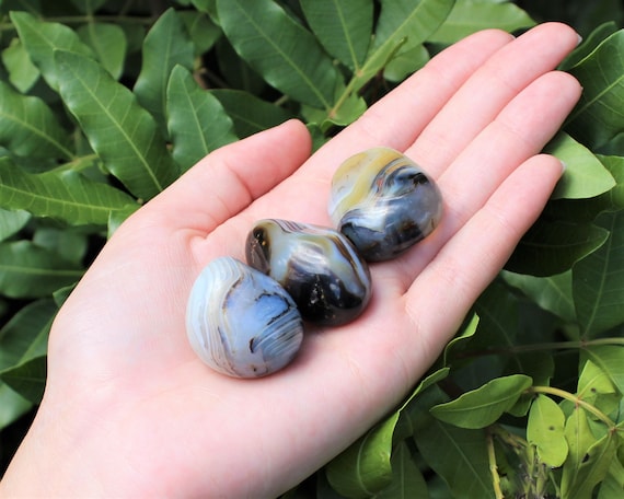 Dendrite Agate Crystal Pebbles, Hand Polished Agate Palm Stones From Madagascar ('A' Grade Smooth Gemstones)