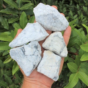May include: A collection of five white and gray tumbled stones. The stones are smooth and have a natural, organic look.