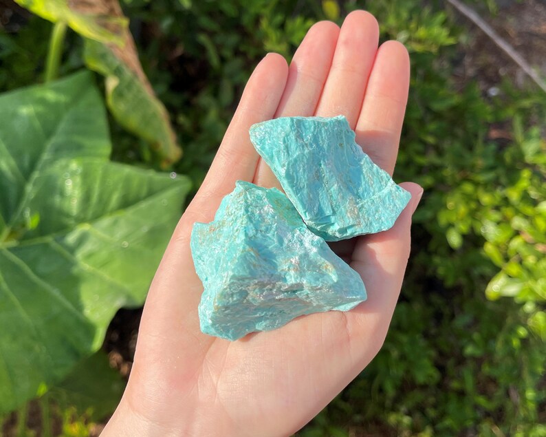 K&ouml;nnte beinhalten: Zwei St&uuml;cke rohen T&uuml;rkis-Edelsteins, gehalten in einer Hand. Die Steine haben eine leuchtende, hellblau-gr&uuml;ne Farbe mit einer rauen, strukturierten Oberfl&auml;che. Der Hintergrund ist verschwommen und zeigt gr&uuml;nes Laub.