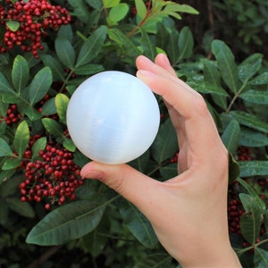 Op de afbeelding: Een witte selenietbol, ongeveer 5 cm in diameter, wordt in een hand gehouden tegen een achtergrond van groene bladeren en rode bessen.