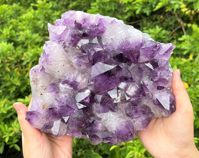 HUGE Amethyst Clusters A/B Quality Amethyst Crystals: You Choose Size (Crazy Cheap for Large 'A/B' Grade Amethyst Druze Clusters)