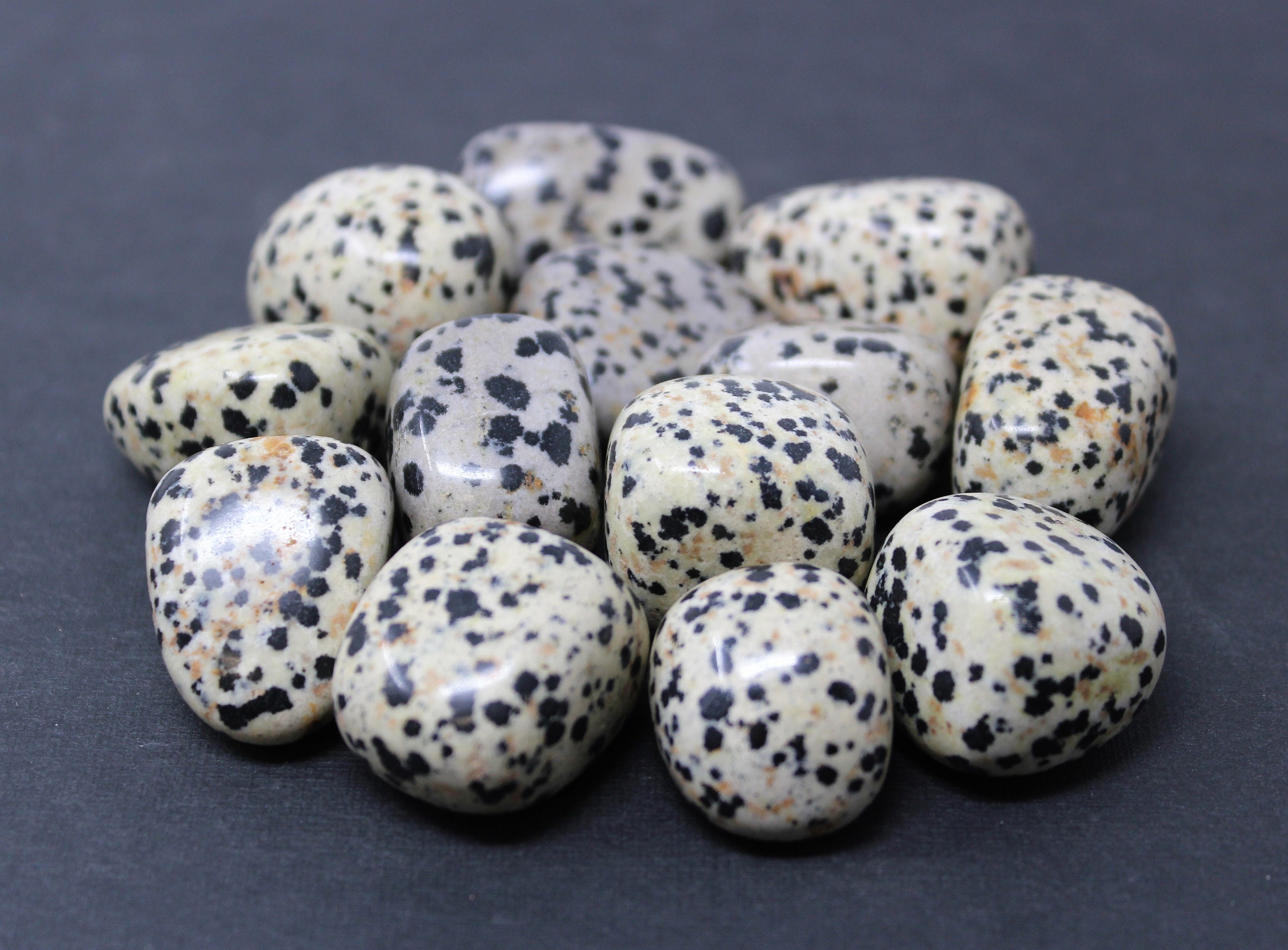 dalmatian jasper meaning dalmatian jasper meaning