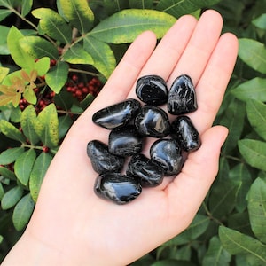 Black Tourmaline Tumbled Stones, 0.75" - 1": Choose How Many Pieces ('A' Grade Tourmaline Crystals)
