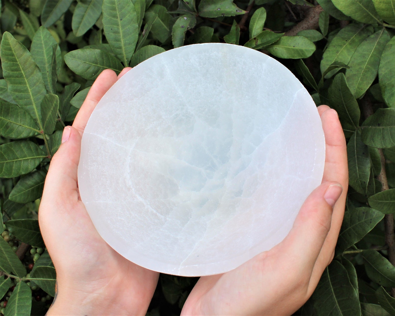 Extra Large Selenite Charging Bowl 6 crystal Cleaning Etsy