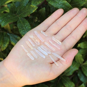 May include: A collection of small, clear quartz crystals, also known as rock crystals, arranged on a person's palm. The crystals are various lengths and have a natural, raw appearance.