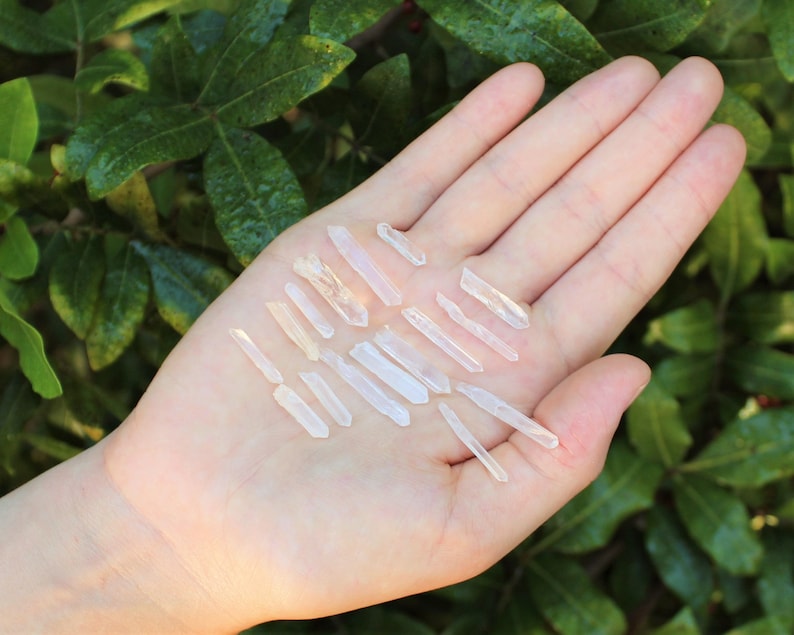 May include: A collection of small, clear quartz crystals, also known as rock crystals, arranged on a person's palm. The crystals are various lengths and have a natural, raw appearance.