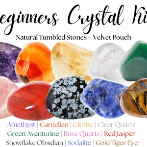10 Beginners Crystal Gemstones. Amethyst, Carnelian, Citrine, Clear Quartz, Green Aventurine, Rose Quartz, Red Jasper, Snowflake Obsidian, Sodalite and Gold Tiger Eye.