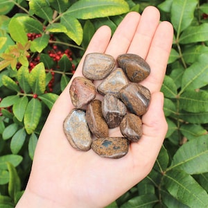 Bronzite Tumbled Stones: Choose How Many Pieces (Premium Quality 'A' Grade)